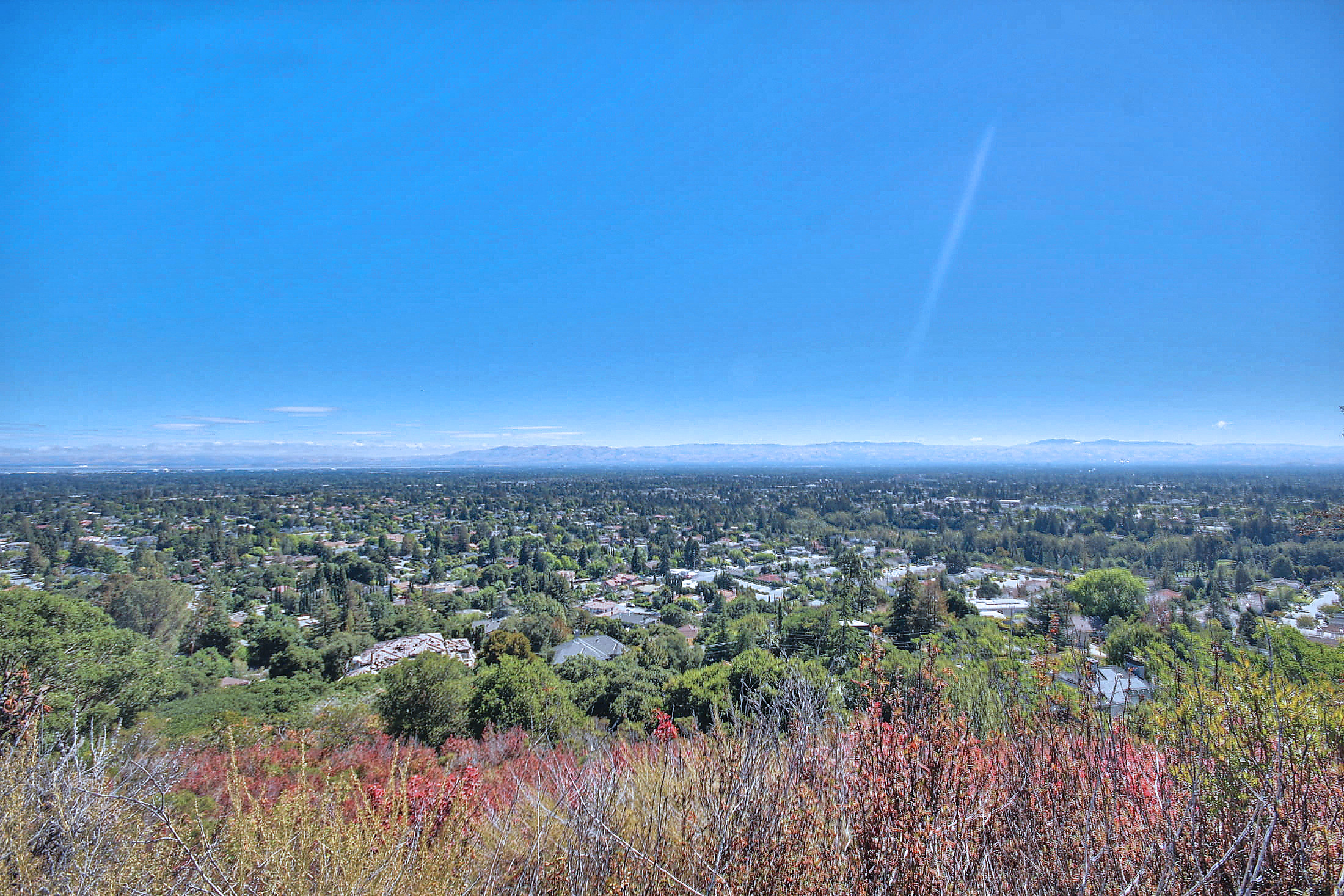 Inspiration Heights Silicon Valley's Last Untouched Hillside